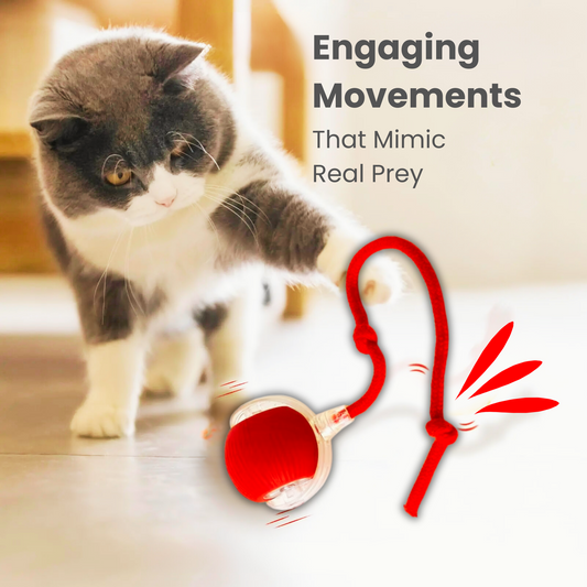Tobypaws™ Interactive Pet Toy Ball