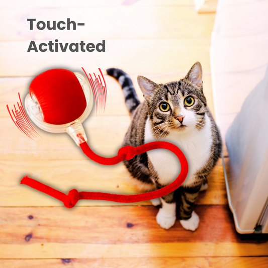 Tobypaws™ Interactive Pet Toy Ball