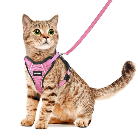 Tobypaws™ Cat harness and leash set