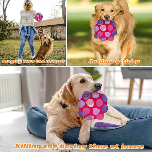 Tobypaws™ Fun interactive dog toys