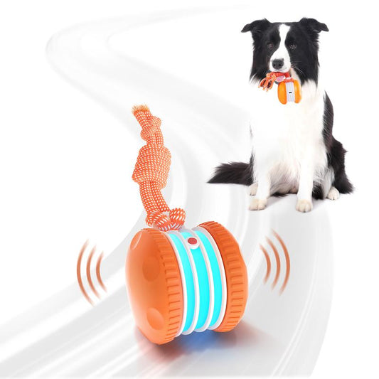 Tobypaws™ Interactive Dog Ball