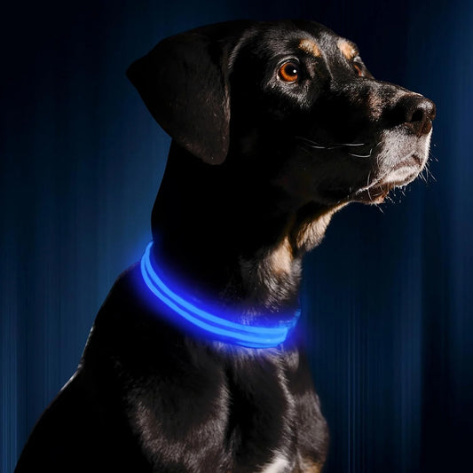 Tobypaws™ LED Dog Collar