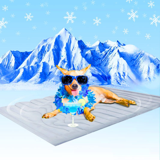 Tobypaws™ Cooling Mat for LargeDogs